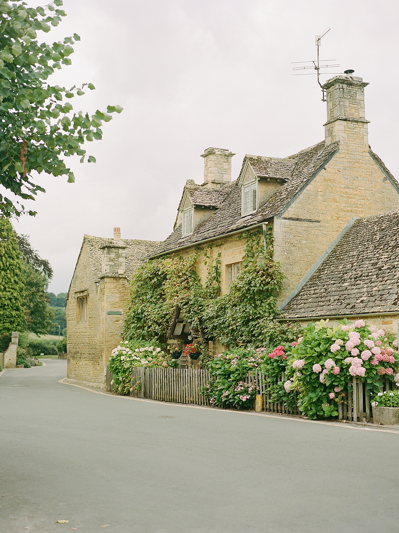 A street with stone houses and pink hydrangeas | Photo by Hope Helmuth Photography
