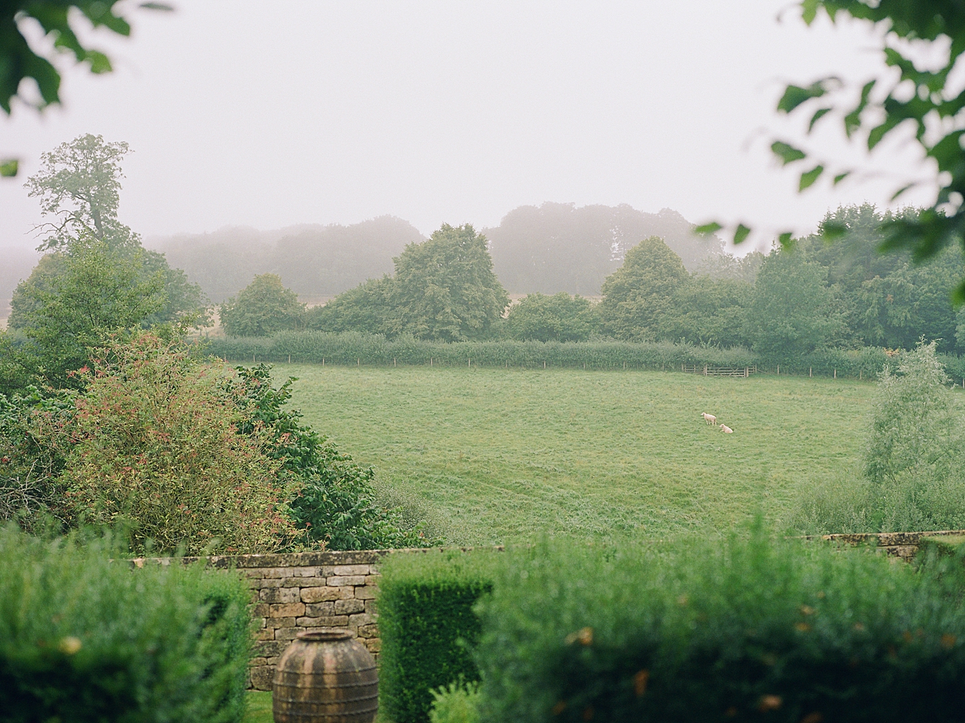 Green field with sheep in the rain | Photo by Cotswolds Wedding Photographer Hope Helmuth 
