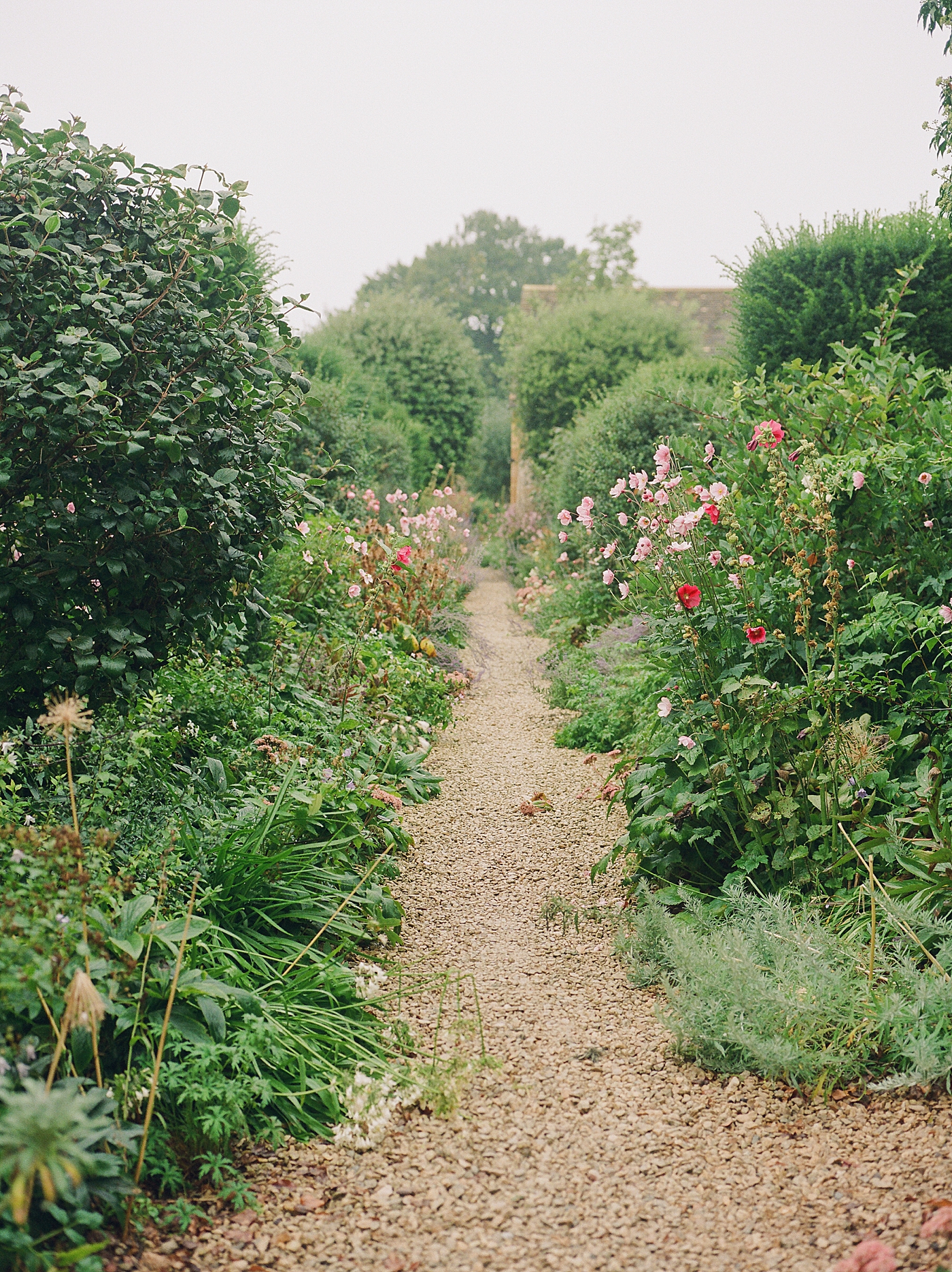 Garden pathway full of pink and red flowers | Photo by Cotswolds Wedding Photographer Hope Helmuth 