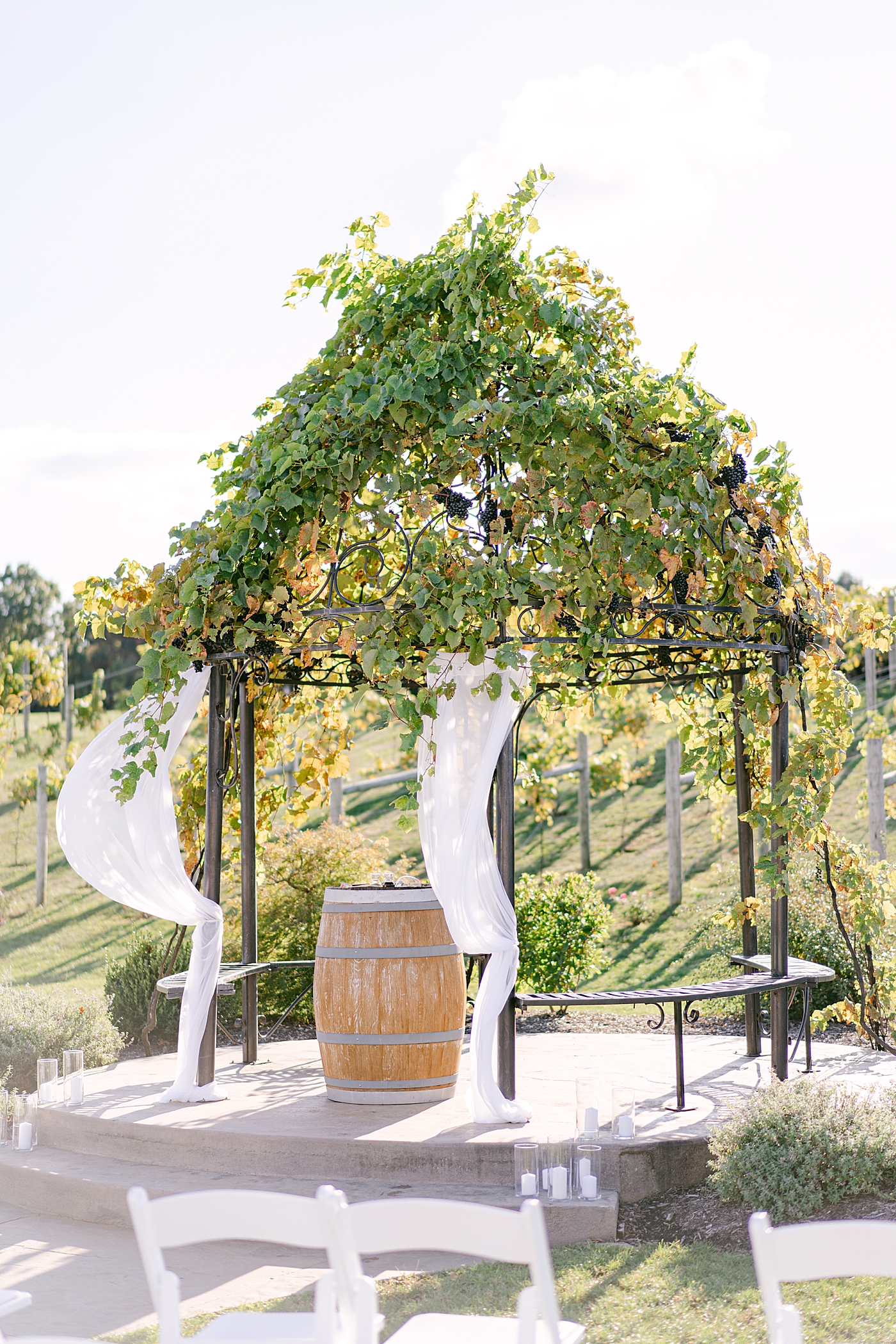 Wedding arbor covered in grape vines | Photo by Hope Helmuth Photography
