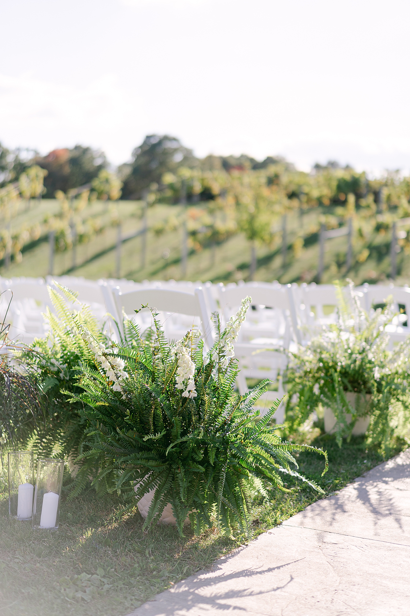Ferns lining a wedding aisle | Photo by Hope Helmuth Photography
