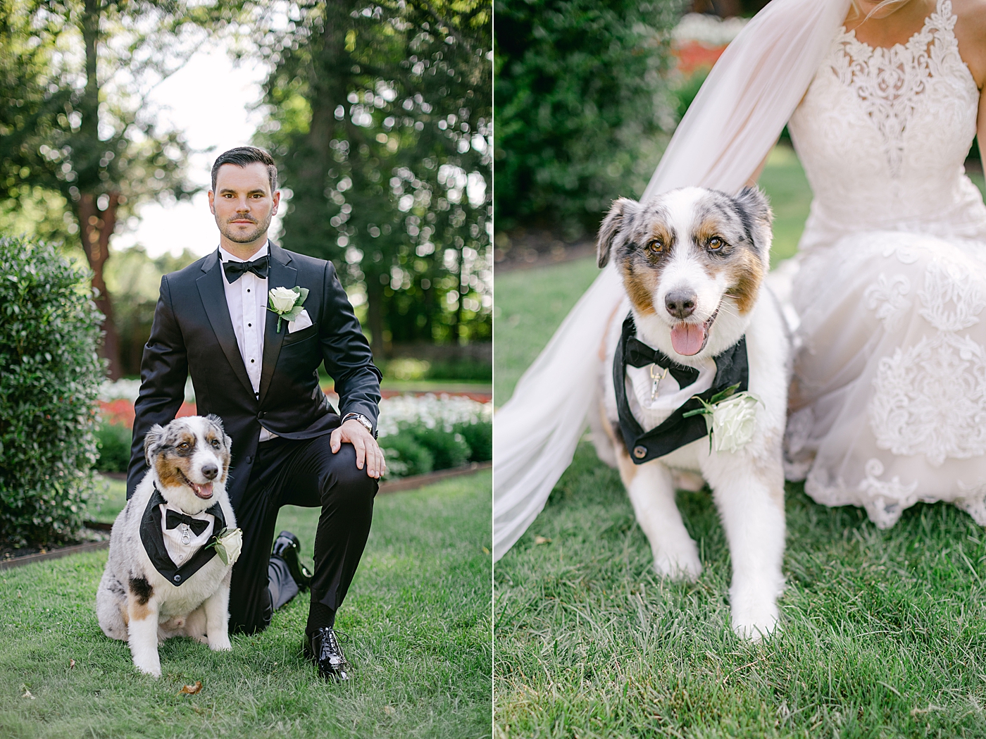 Bride and groom with their puppy during Hotel du Village Wedding | Image by Hope Helmuth Photography