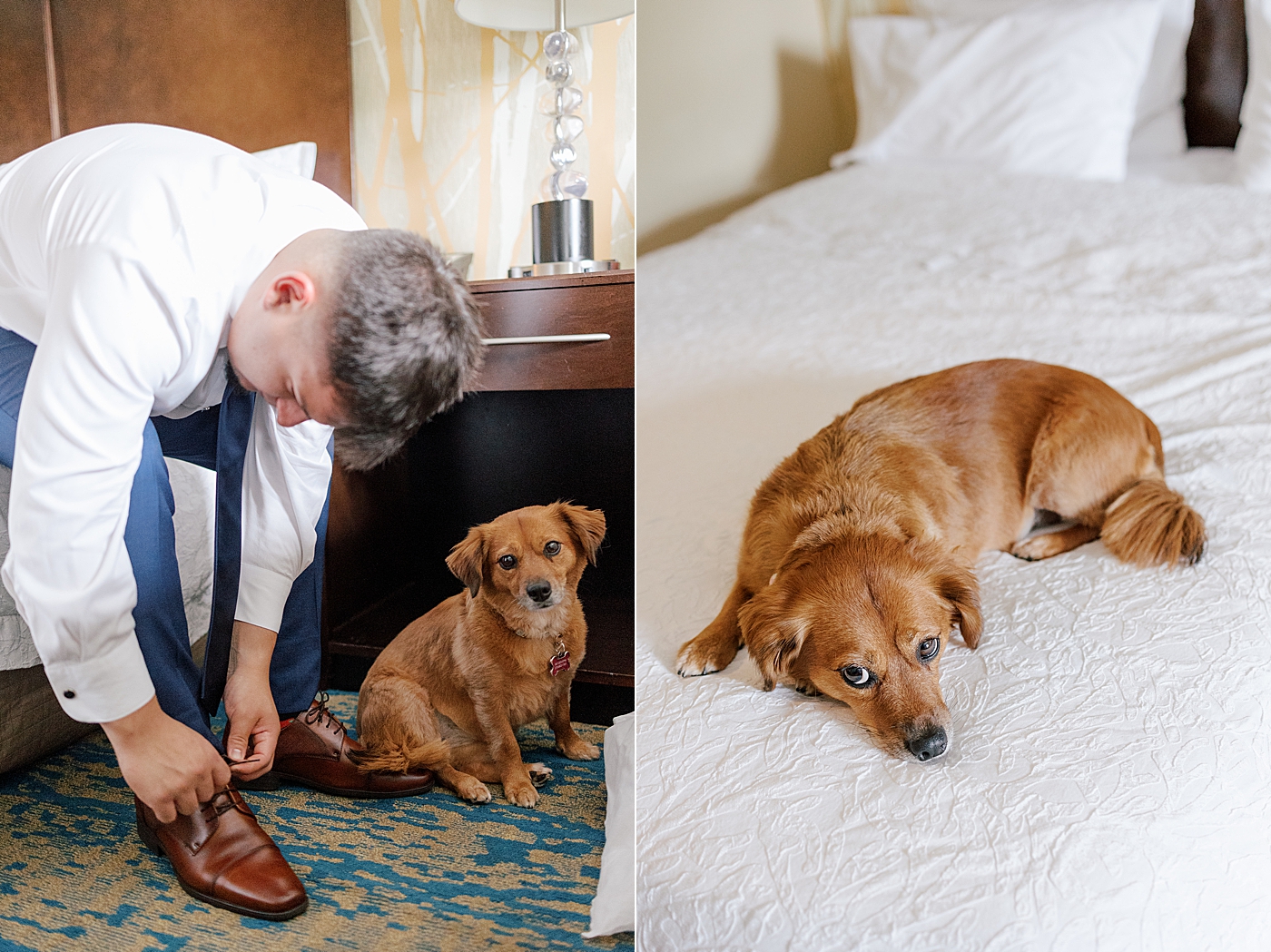 Groom getting ready with his pup during Promise Ridge Wedding | Image by Hope Helmuth Photography 