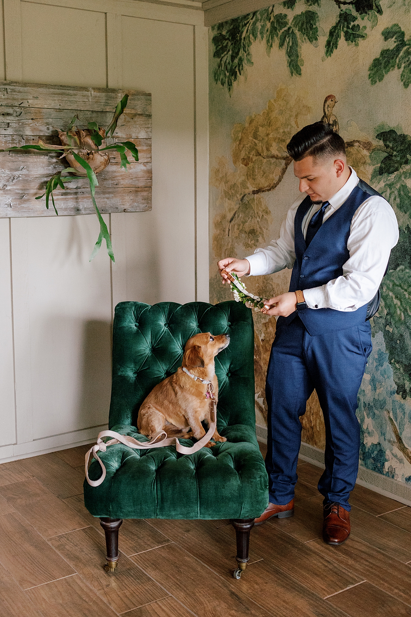 Groom putting a flower collar on his brown dog | Image by Hope Helmuth Photography 