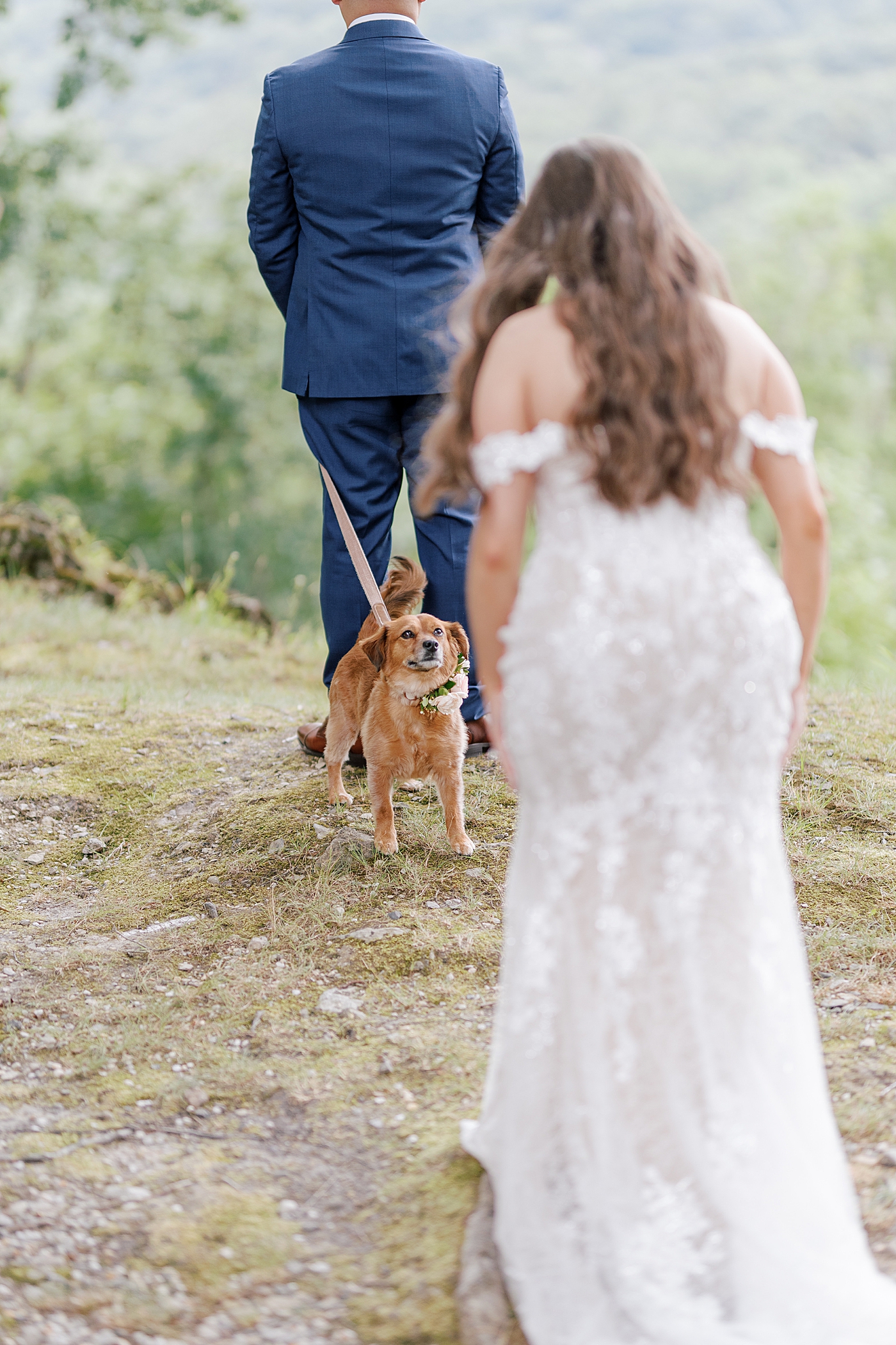 Bride walking to groom and dog during first look | Image by Hope Helmuth Photography 