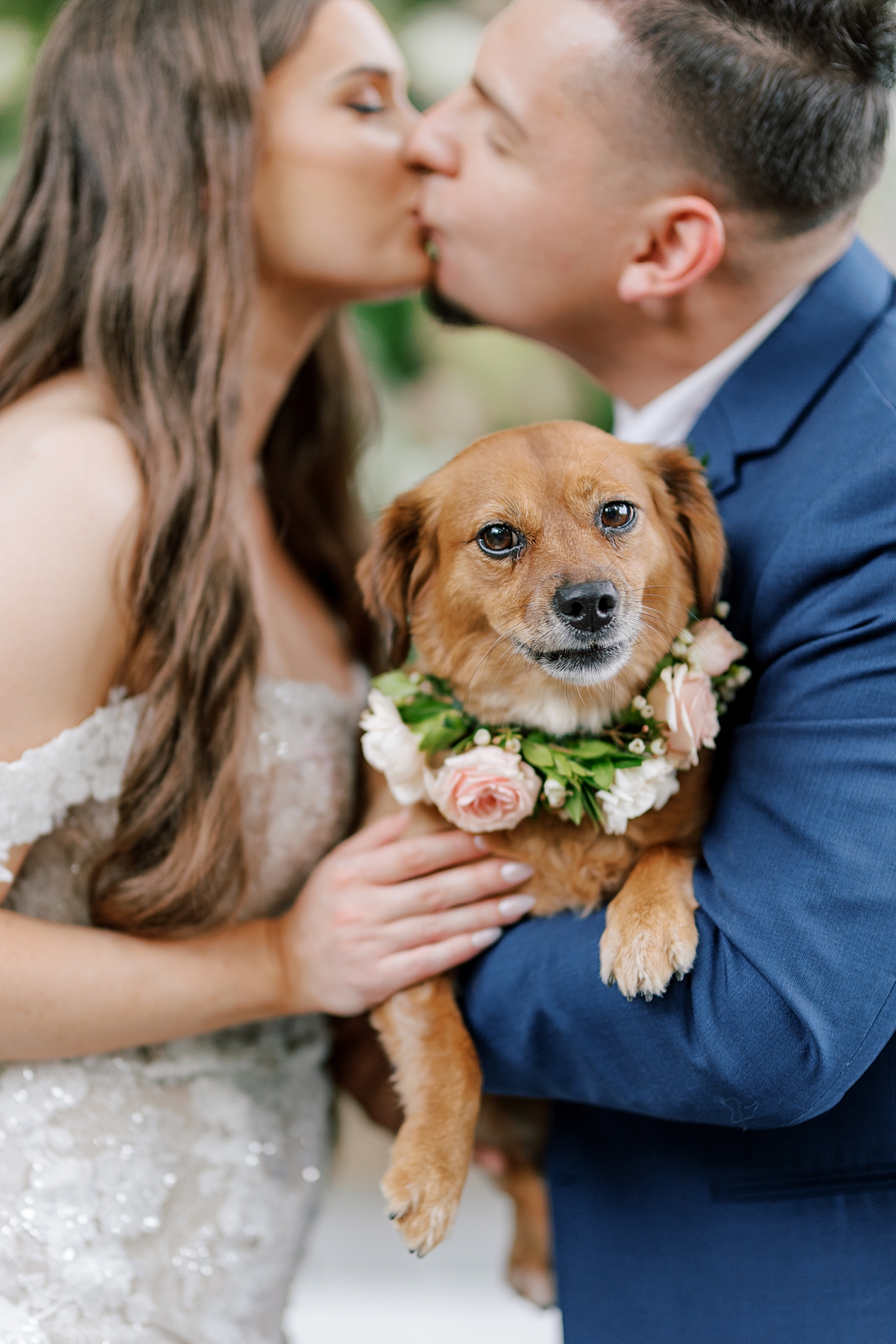 Detail of brown puppy held by kissing bride and groom | Image by Hope Helmuth Photography 