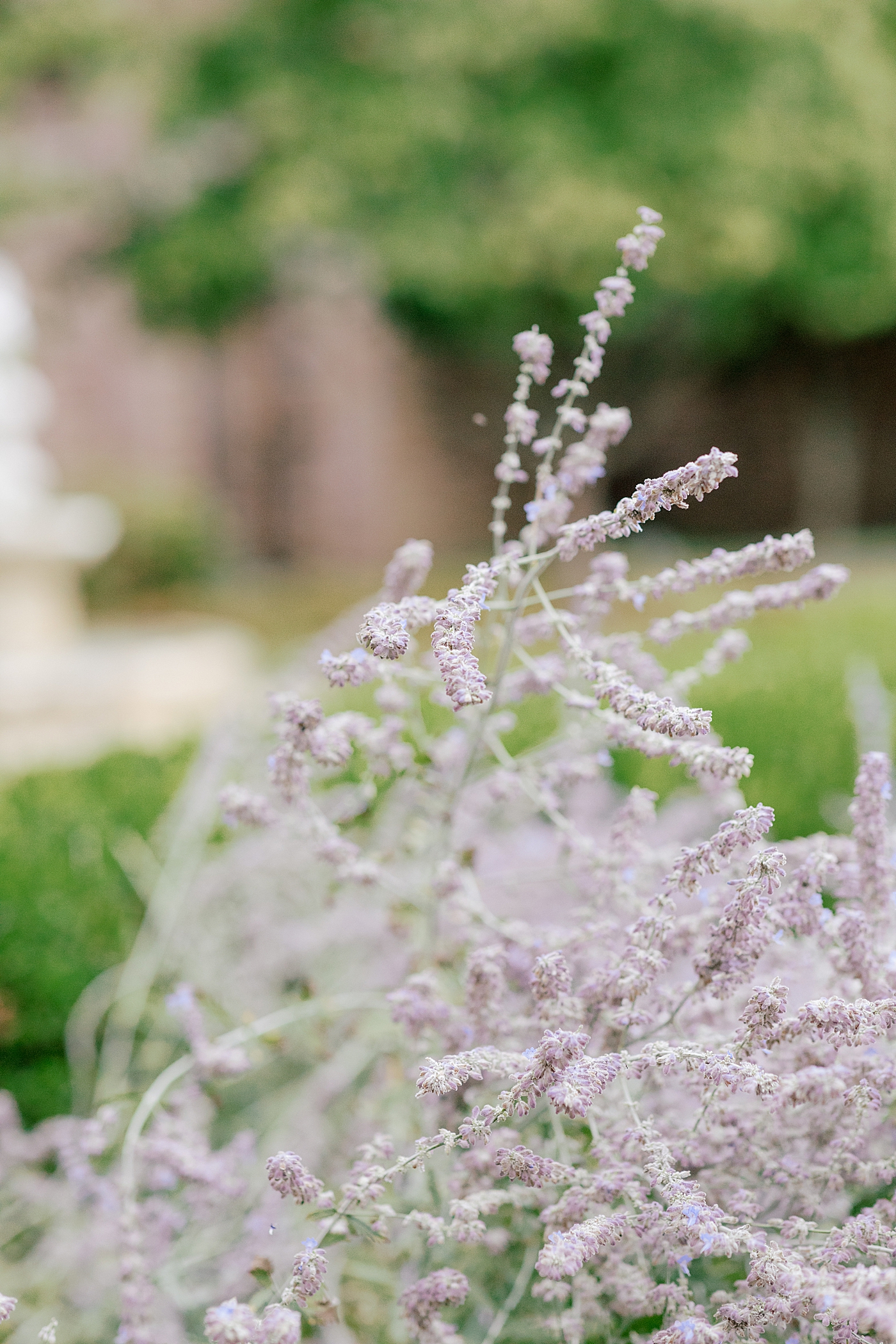 Landscape location detail of a garden during Tyler Gardens Wedding | Image by Hope Helmuth Photography