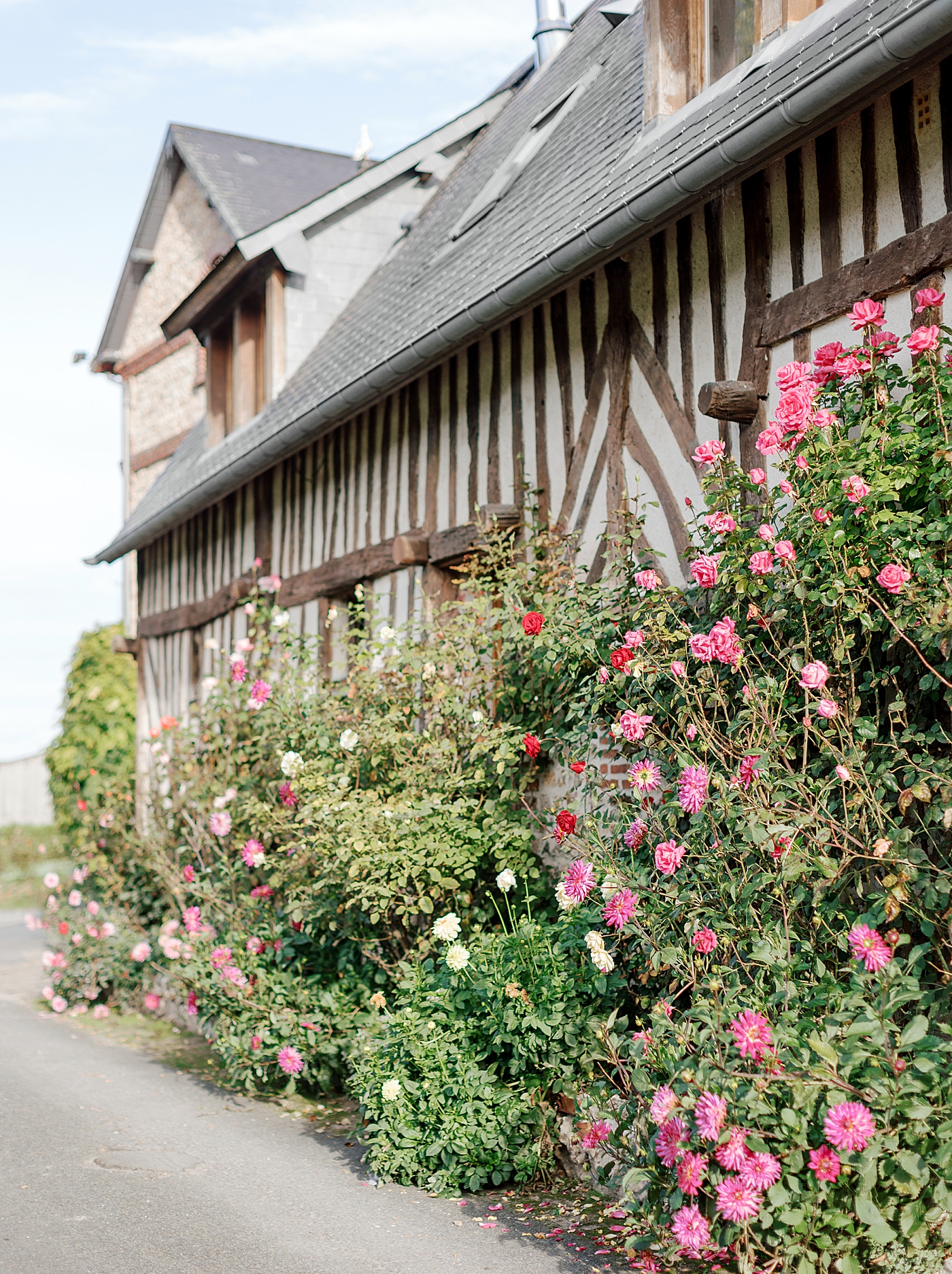 Climbing roses on the side of a French country estate during a trip with France Wedding Photographer Hope Helmuth Photography