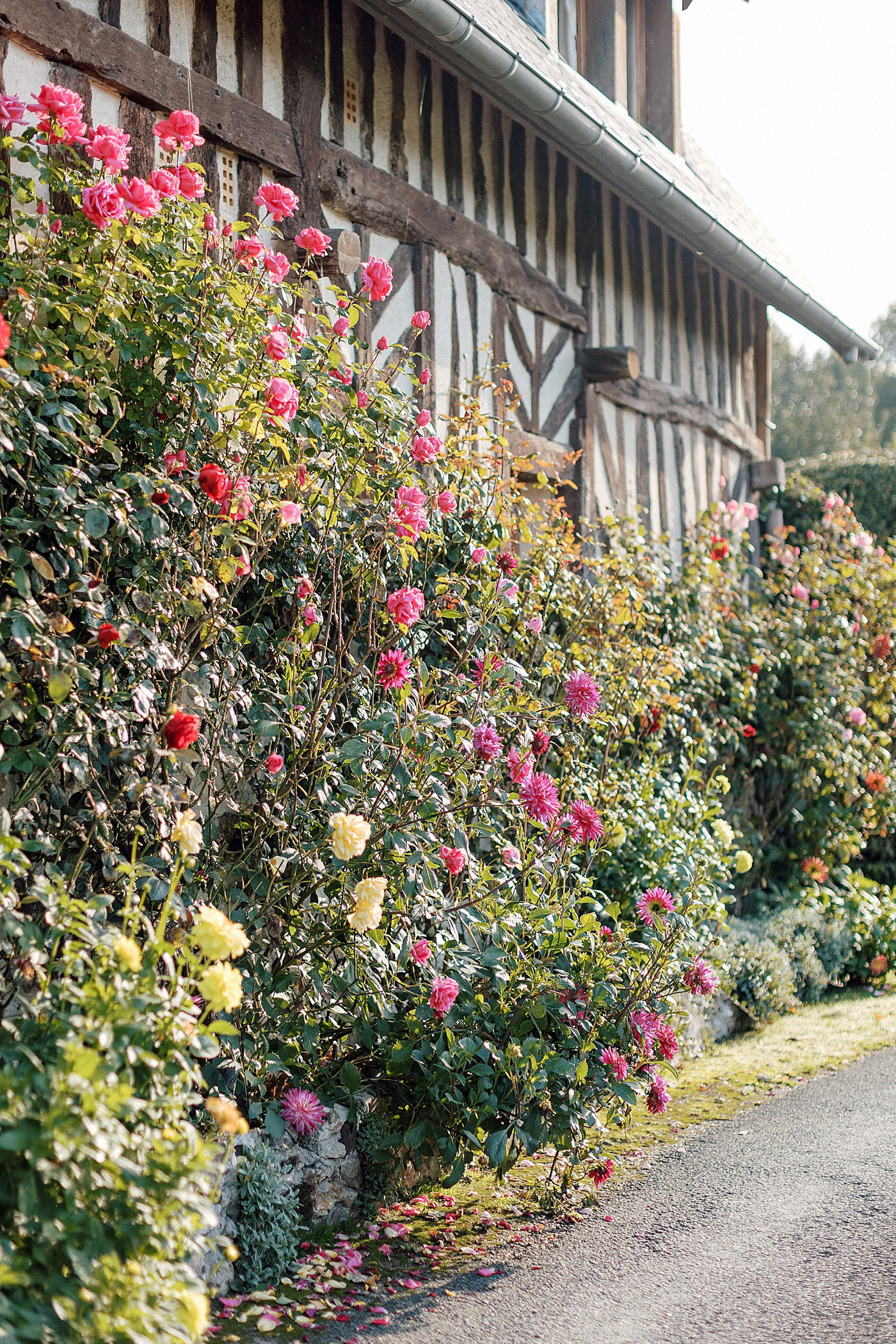 Climbing roses on the side of a French country estate | Image by Hope Helmuth Photography