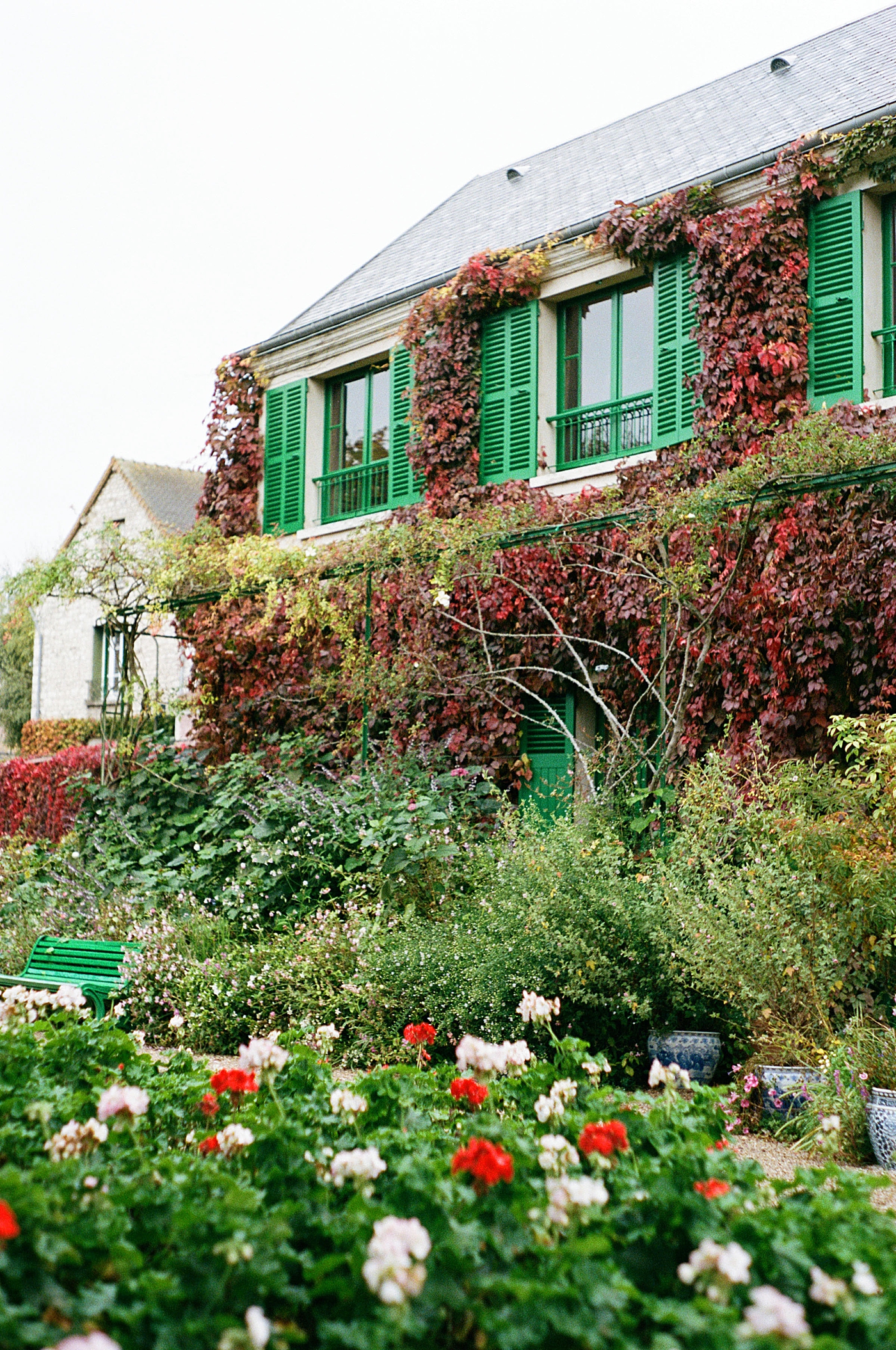 View from the garden of a home covered in climbing vines | Image by Hope Helmuth Photography