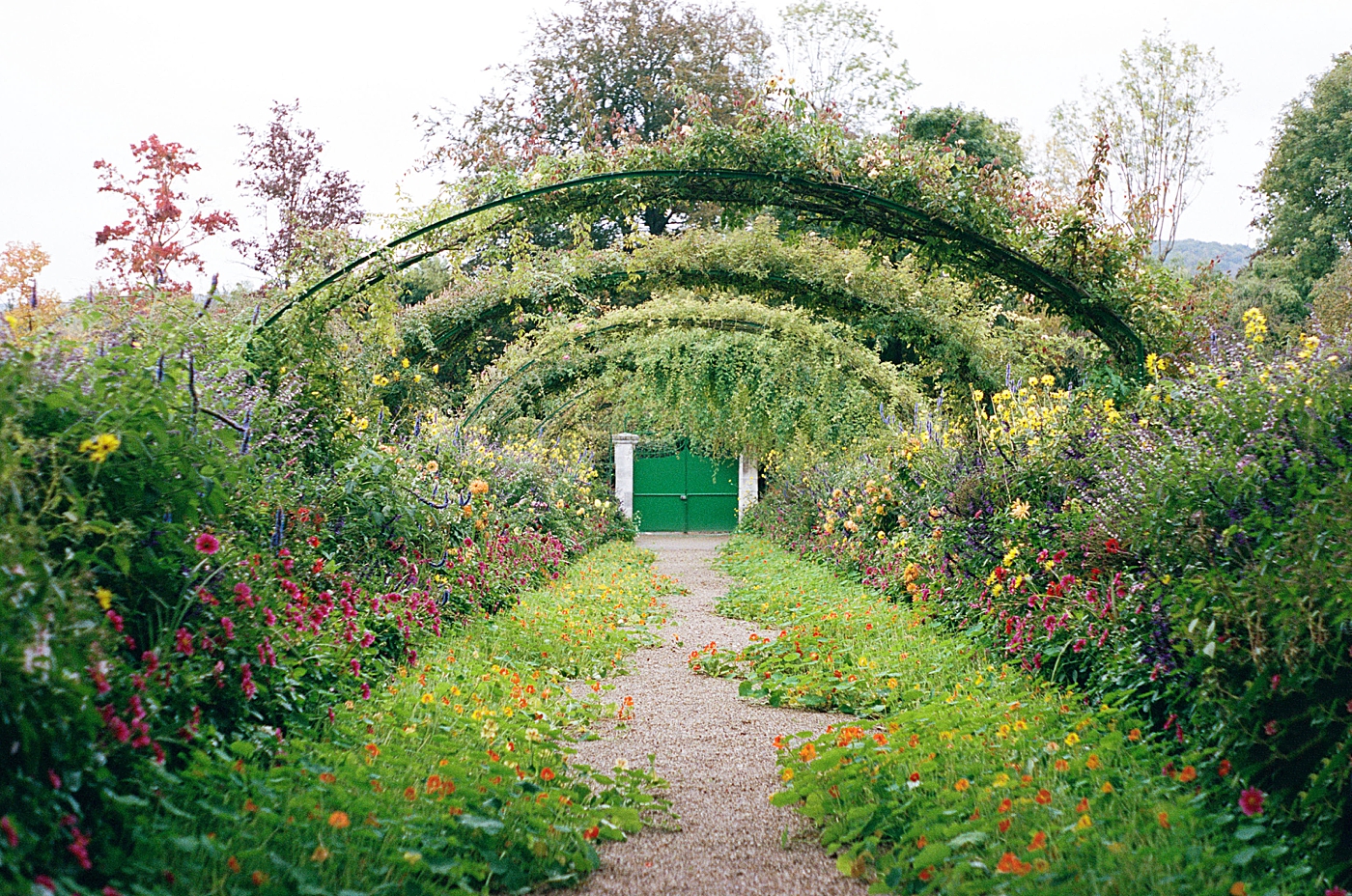 View down the walkway of a garden with greenery and flowers growing on multiple arches overhead during a trip with France Wedding Photographer Hope Helmuth Photography