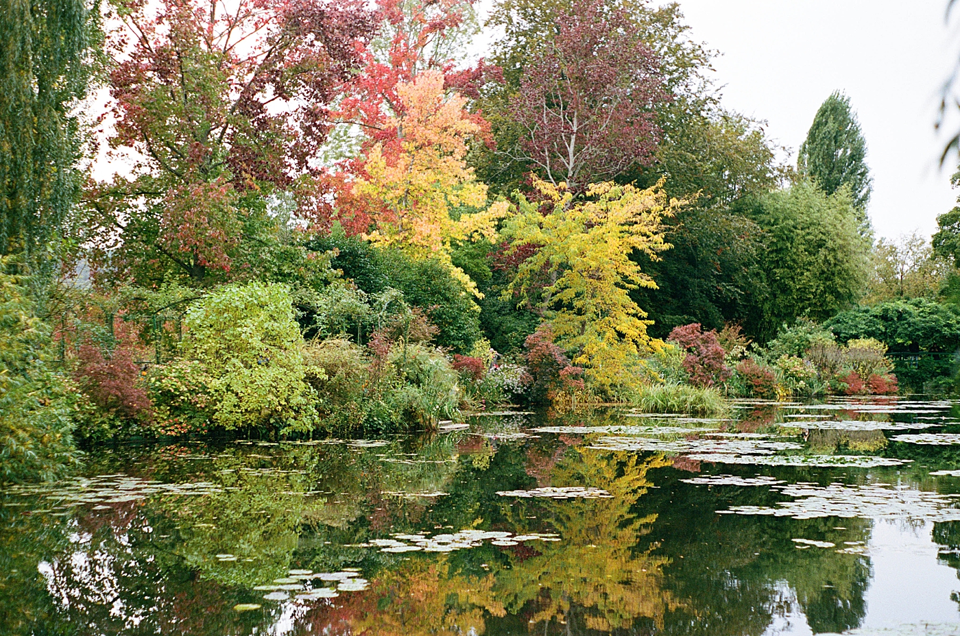 Fall colors on a French waterway | Image by Hope Helmuth Photography