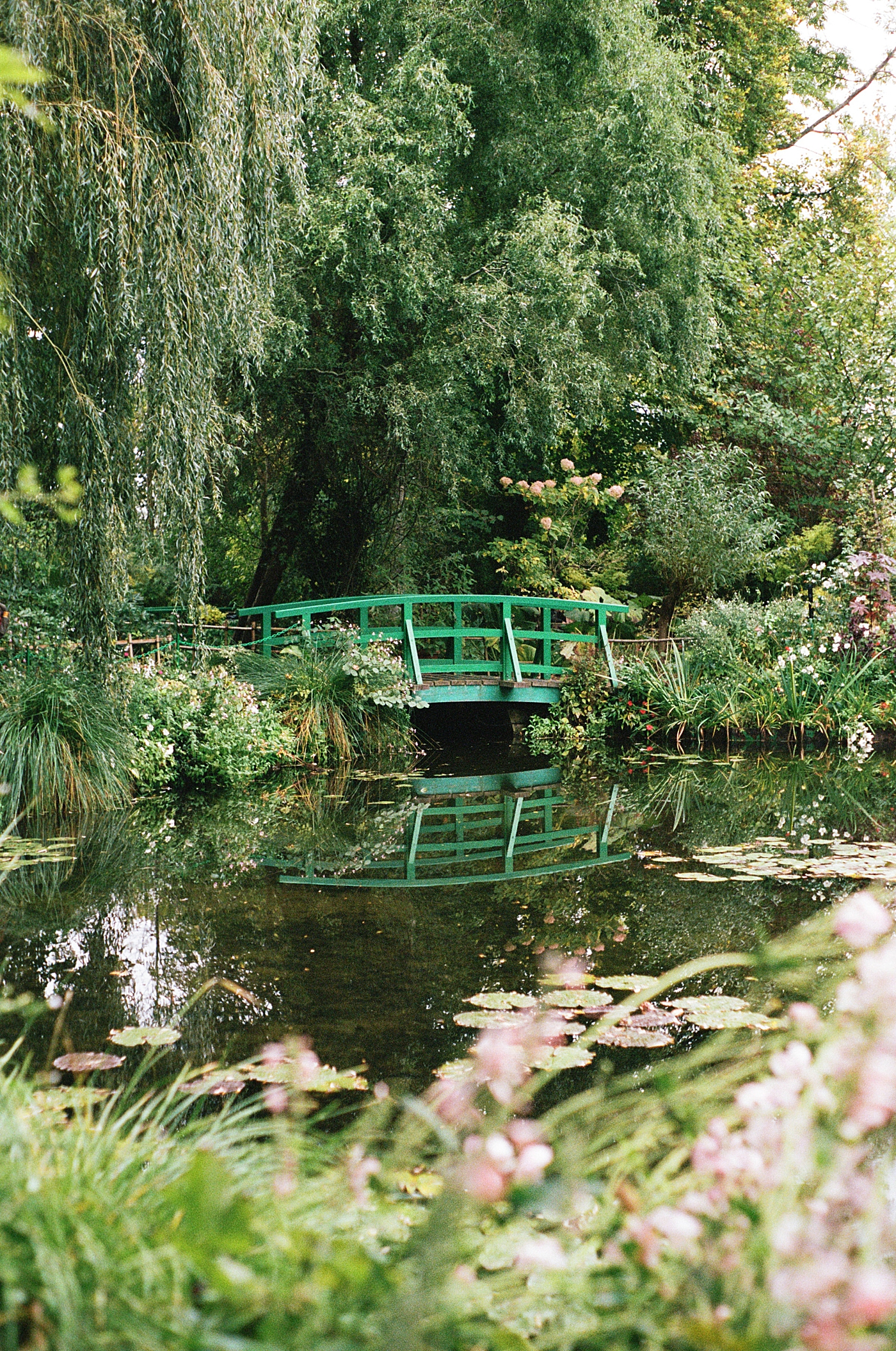 Bridge across a lily pond during a trip with France Wedding Photographer Hope Helmuth Photography