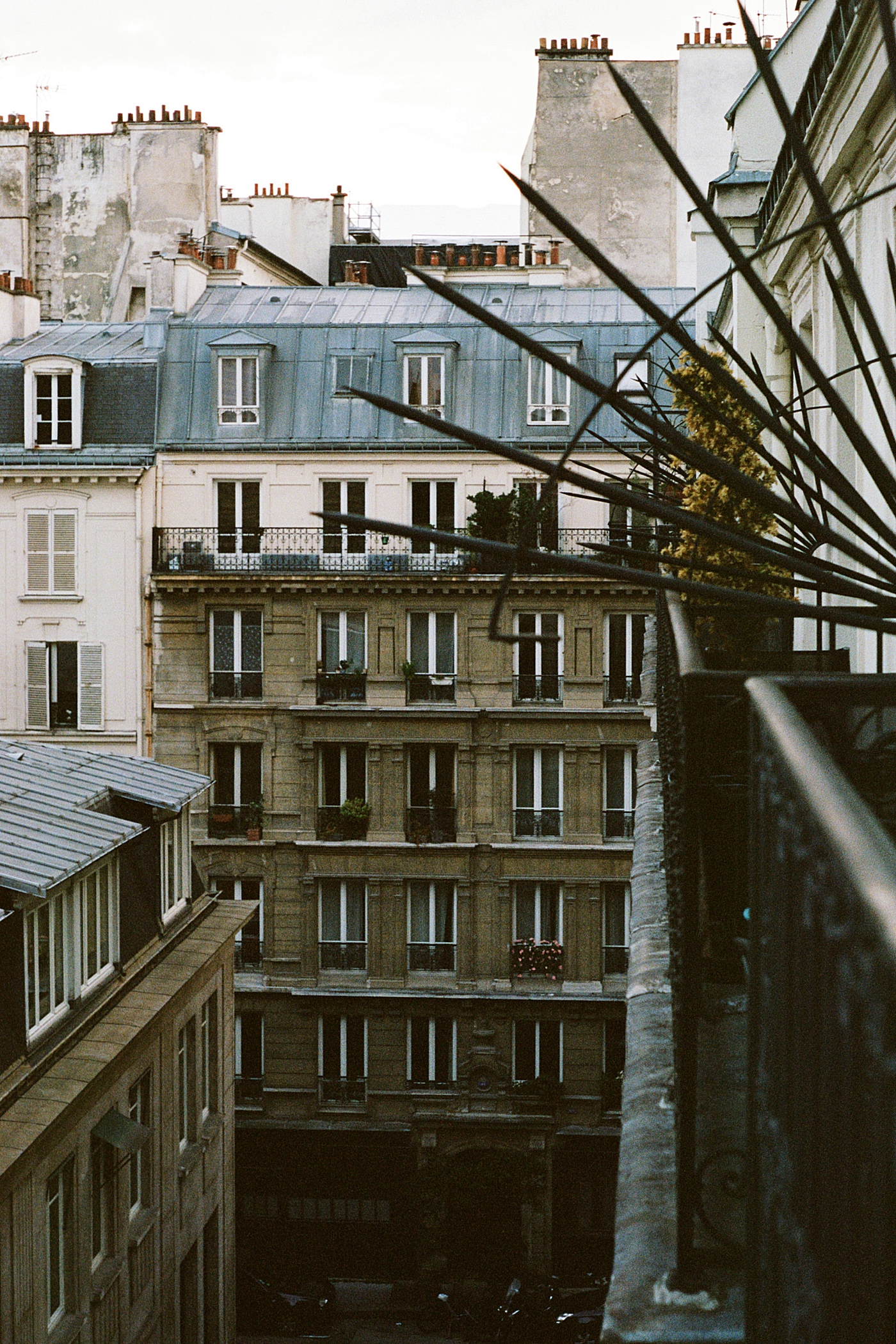 View down a street of a seven-story French apartment | Image by Hope Helmuth Photography
