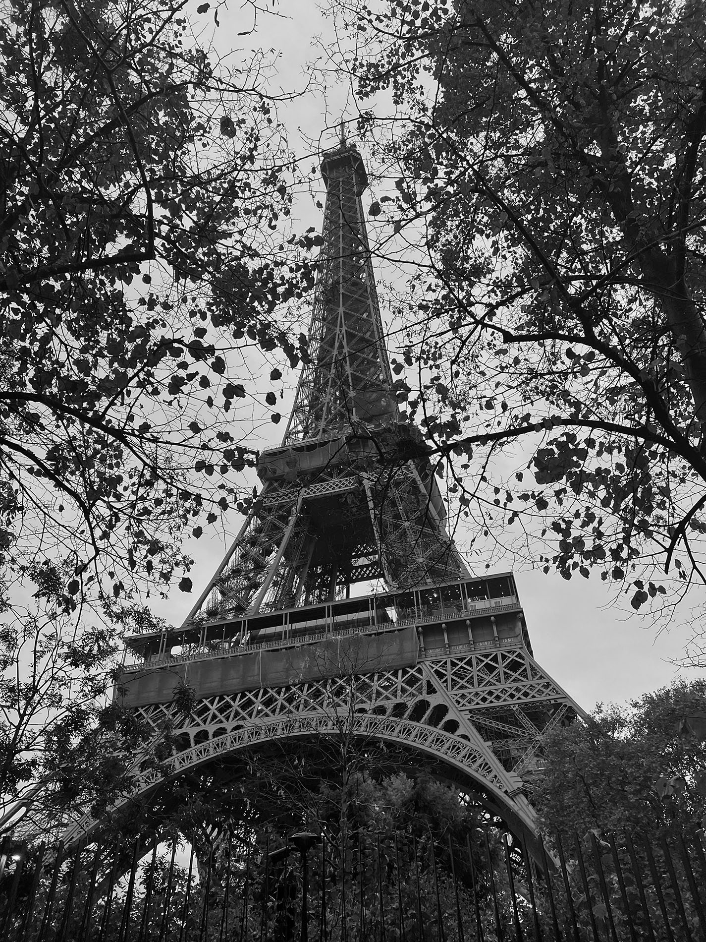 Black and white photo near the base of the Eiffel tower looking up through the trees at the top