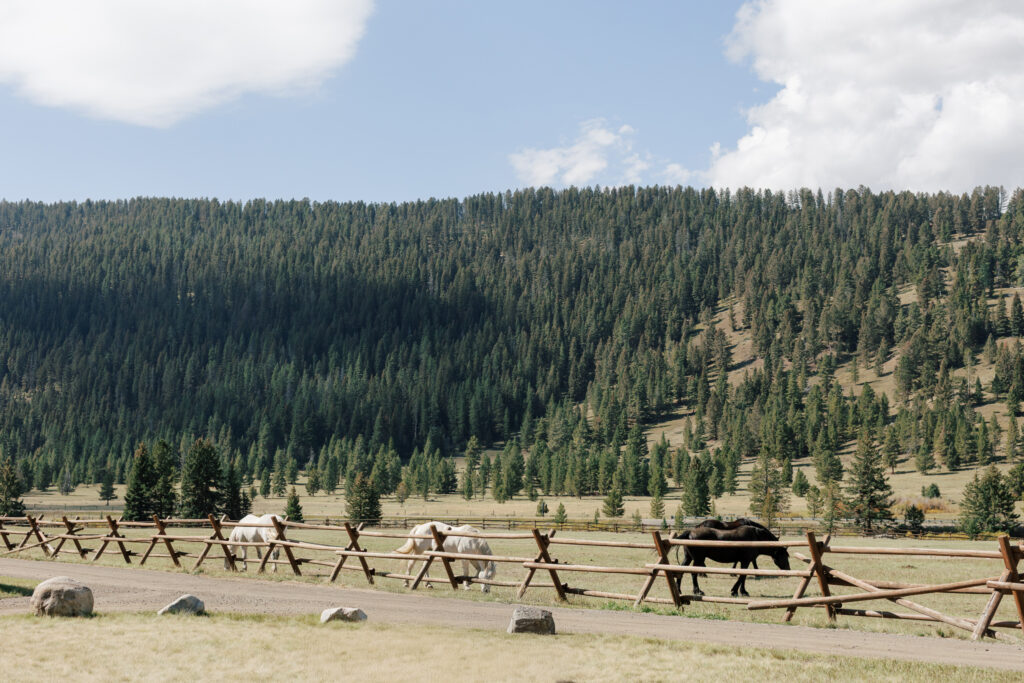 big-sky-montana-wedding-320-guest-ranch-photographer-143